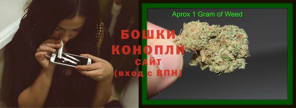 ешки Вяземский