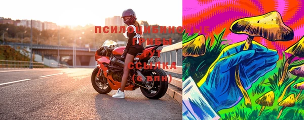 ешки Вяземский