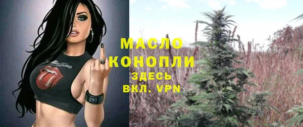 ешки Вяземский