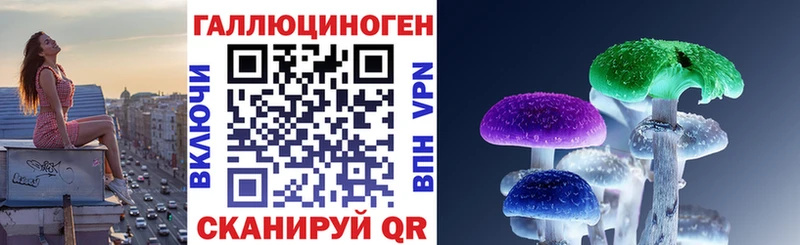 Купить  Грязовец  Псилоцибиновые грибы прущие грибы 