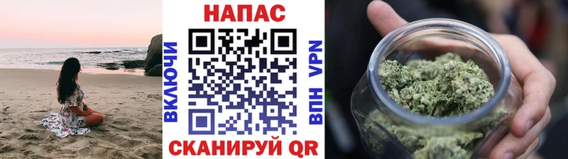 Купить закладки  Грязовец  Бошки марихуана OG Kush 